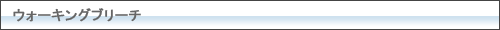 ウォーキングブリーチ